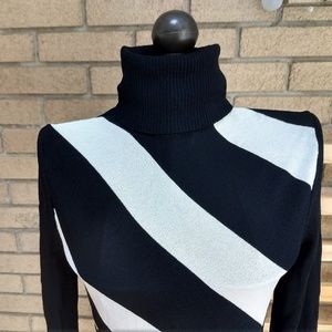 The Limited Black and White Striped Turtleneck